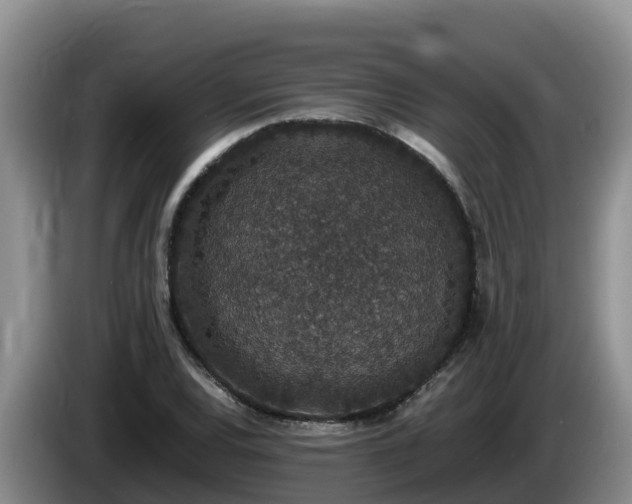 X0000086241120200704051213