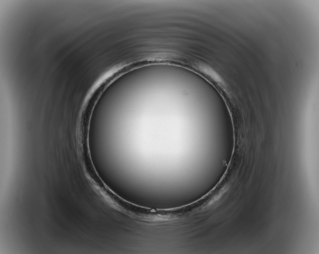 X0000086241122200704051213