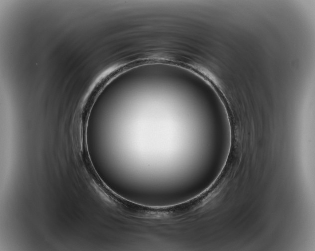 X0000086241123200704051213
