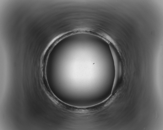 X0000086241124200704051213