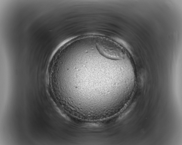 X0000086241125200704051213