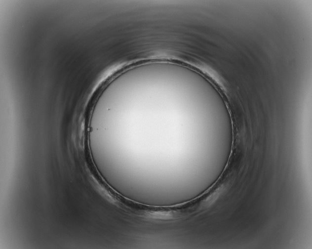 X0000086241126200704051213