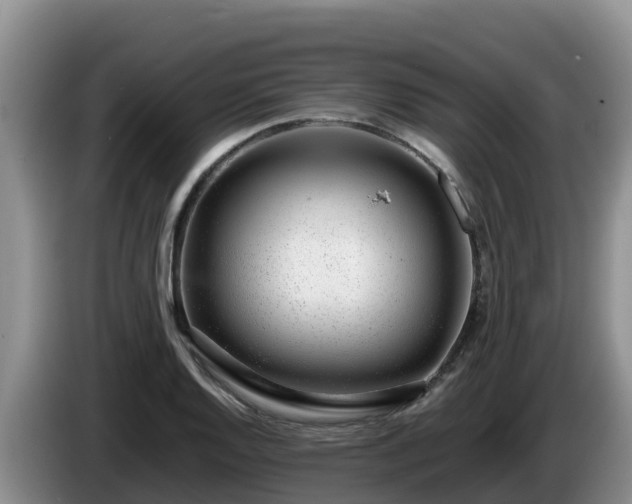 X0000086241128200704051213