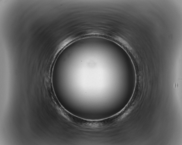 X0000086241129200704051213