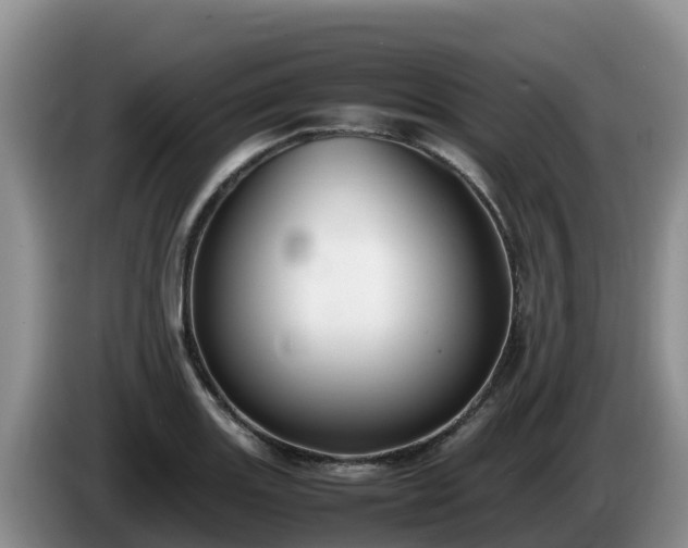X0000086241131200704051213