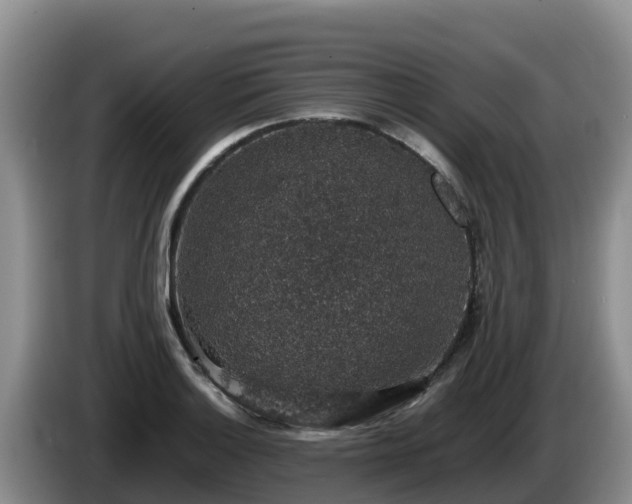 X0000086241132200704051213