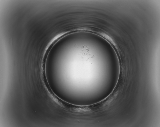 X0000086241133200704051213