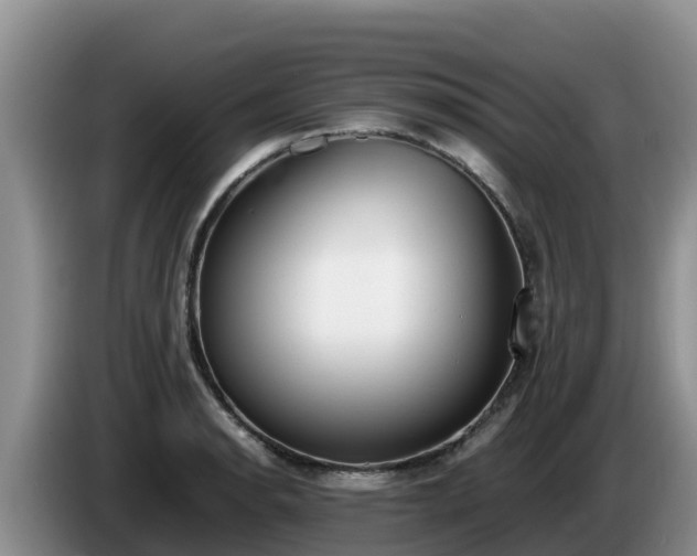 X0000086241134200704051213