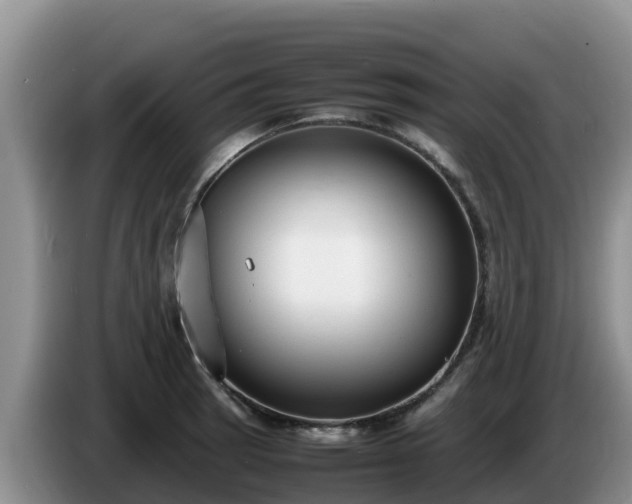 X0000086241137200704051213