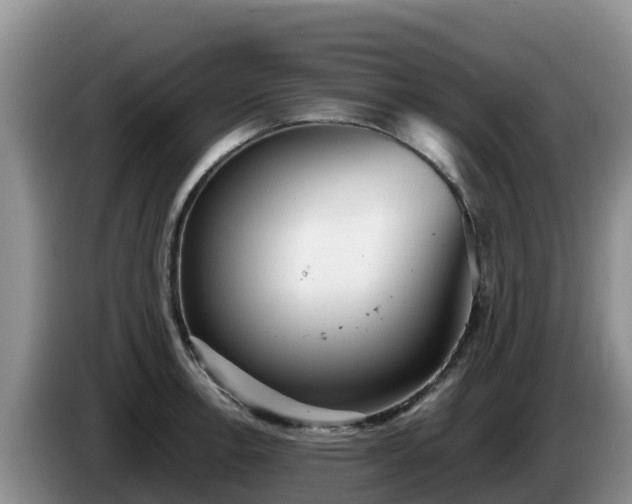X0000086241138200704051213