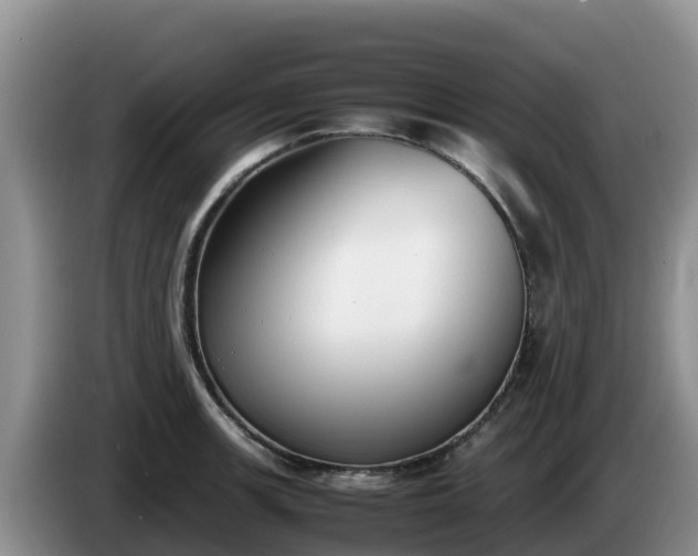 X0000086241139200704051213