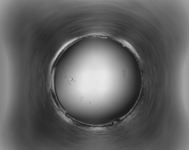X0000086241140200704051213