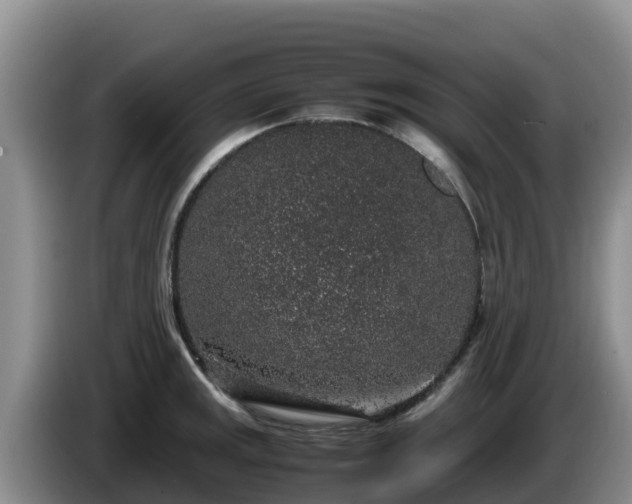 X0000086241141200704051213
