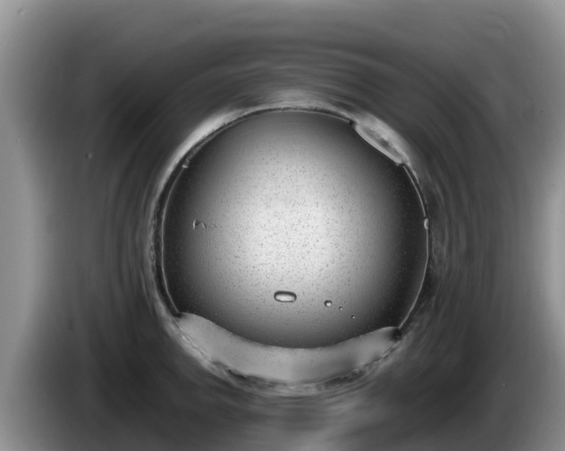 X0000086241142200704051213