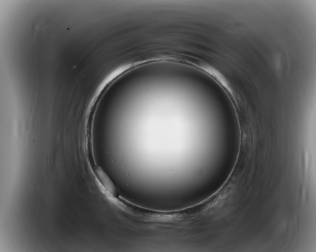 X0000086241143200704051213