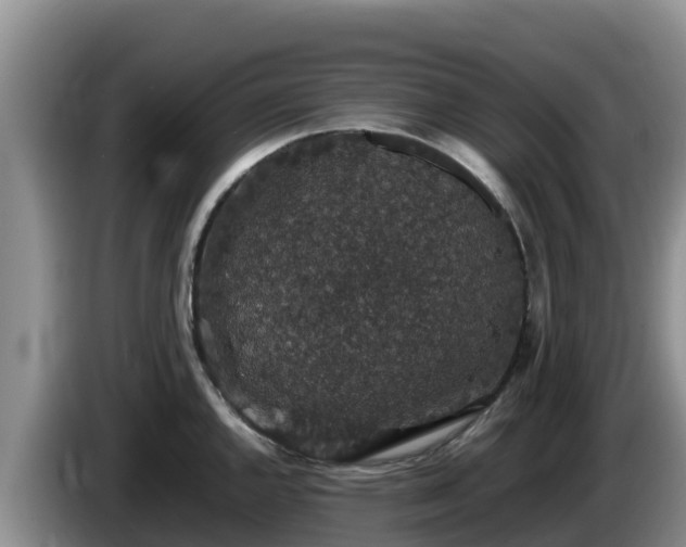 X0000086241144200704051213