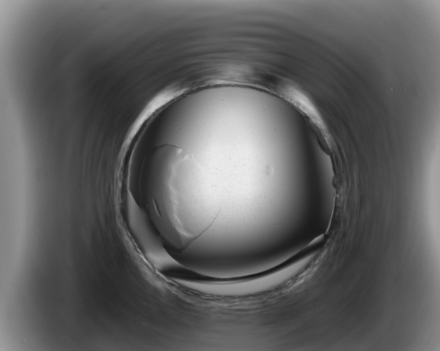 X0000086241146200704051213