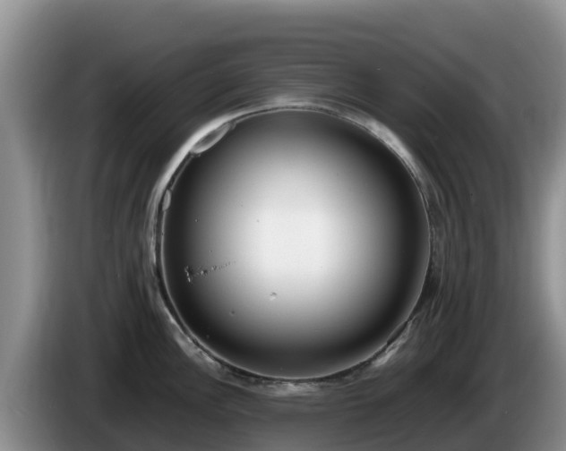 X0000086241148200704051213