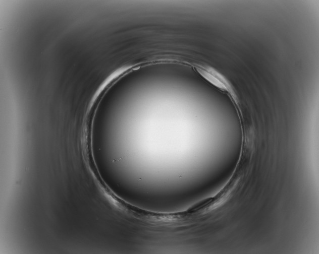 X0000086241149200704051213