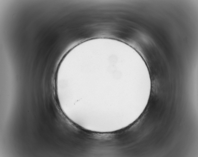X0000086241150200704051213