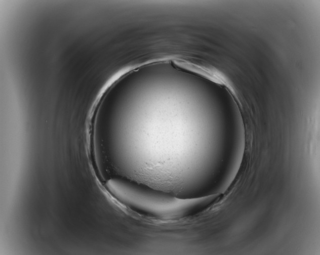 X0000086241151200704051213