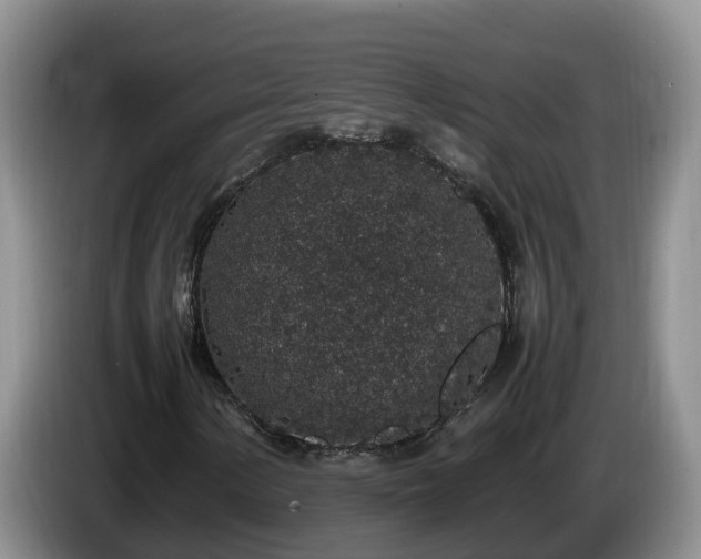 X0000086241154200704051212