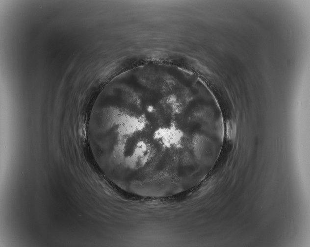 X0000086241155200704051212