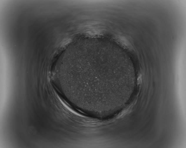 X0000086241156200704051212