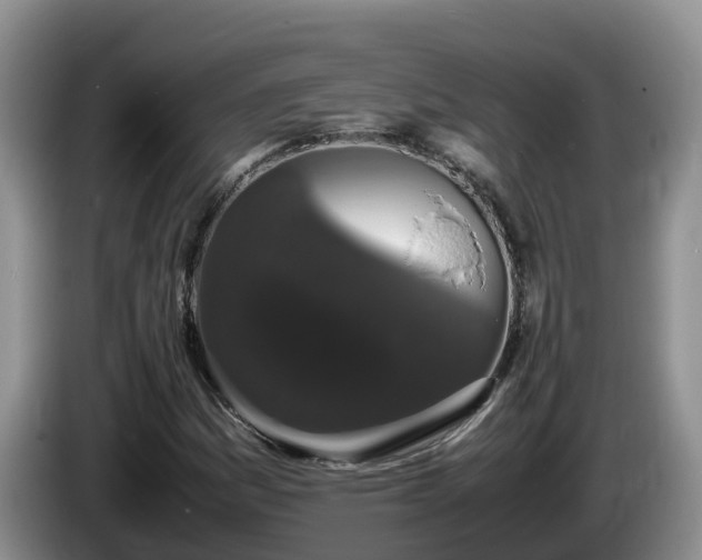 X0000086241161200704051212
