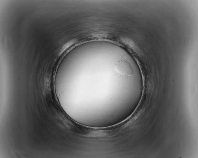 X0000086241162200704051212