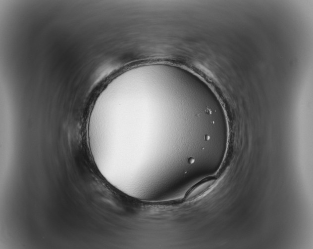 X0000086241163200704051212