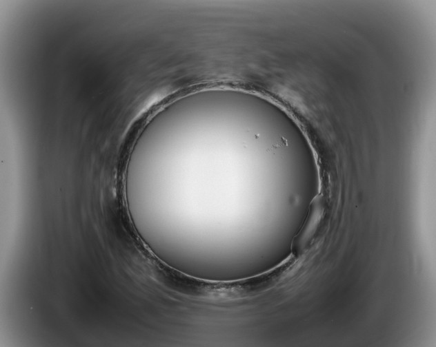 X0000086241165200704051212