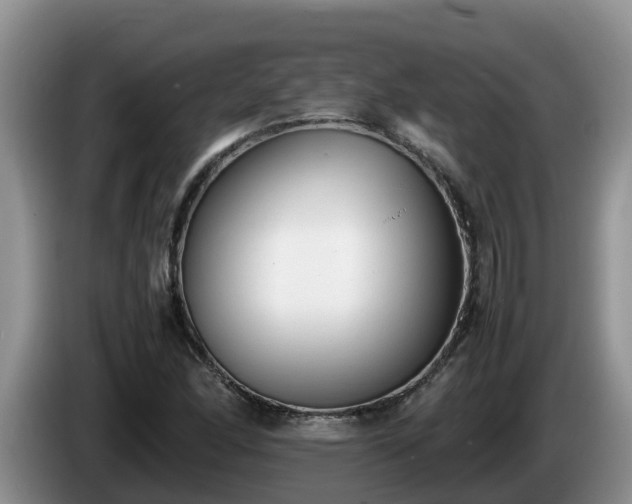 X0000086241166200704051212