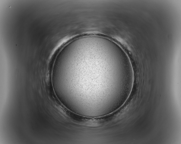 X0000086241167200704051212