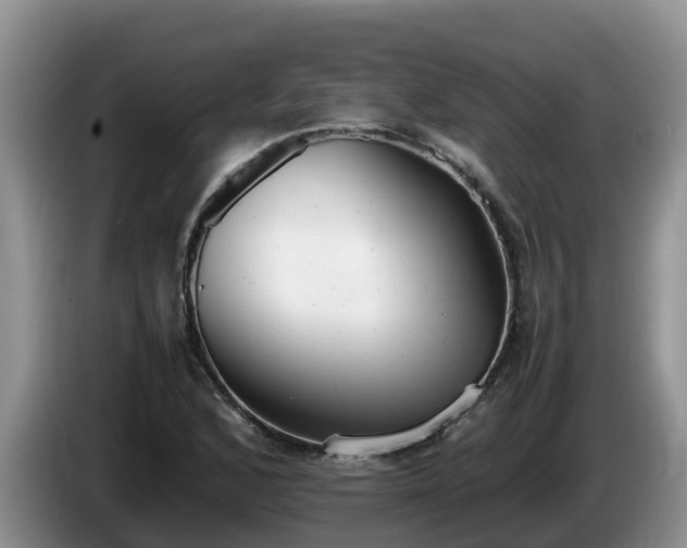 X0000086241168200704051212