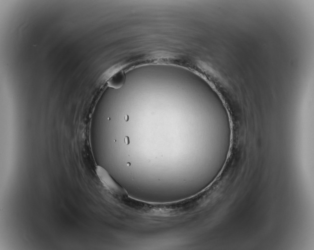 X0000086241169200704051212