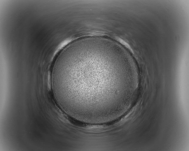 X0000086241171200704051212