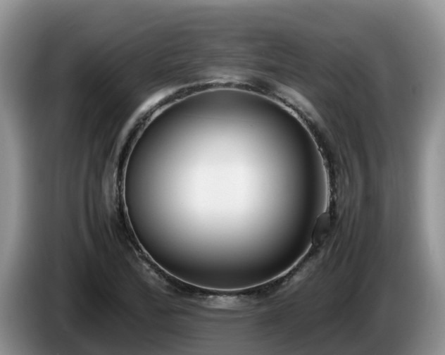 X0000086241172200704051212