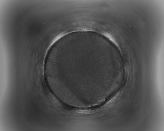 X0000086241173200704051212