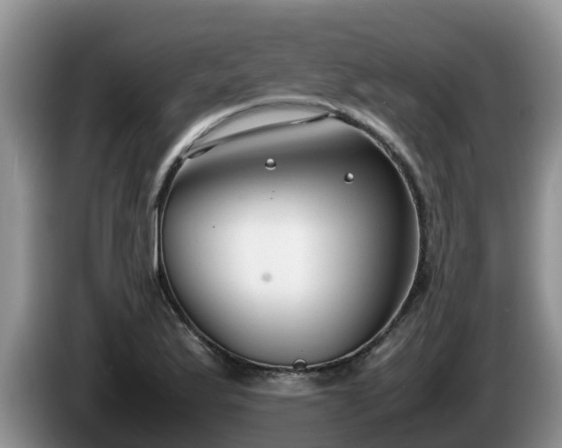X0000086241175200704051212