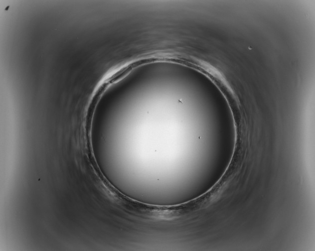 X0000086241176200704051212