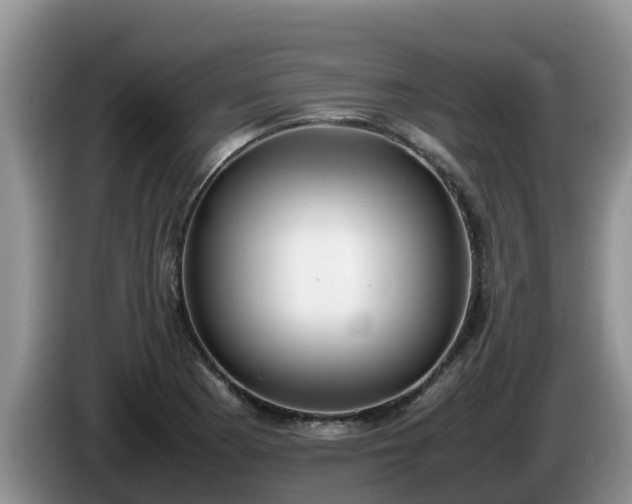 X0000086241177200704051212