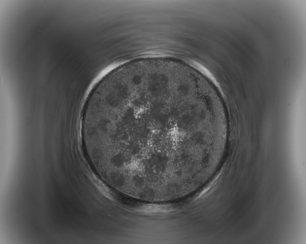 X0000086241179200704051212