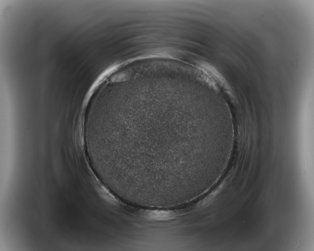 X0000086241180200704051212