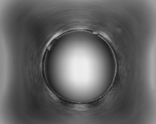 X0000086241181200704051212
