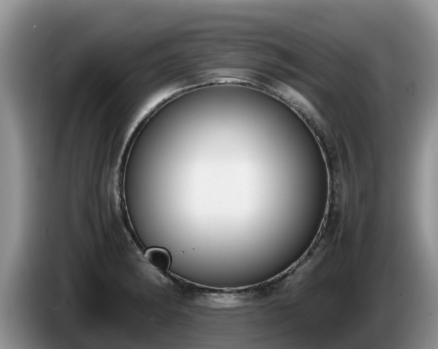 X0000086241182200704051212