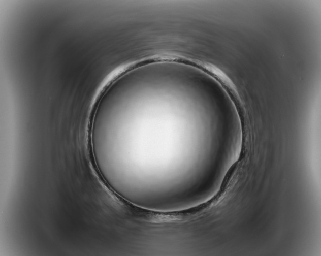 X0000086241183200704051212