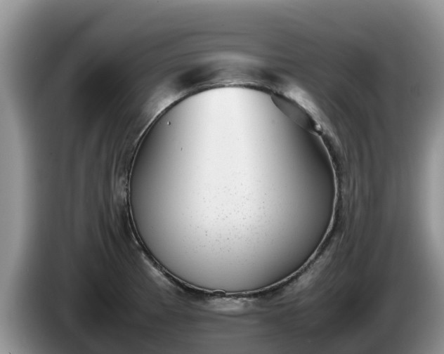 X0000086241185200704051212