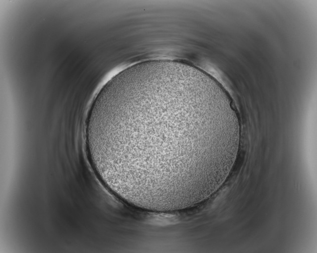 X0000086241187200704051212