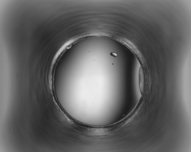 X0000086241188200704051212
